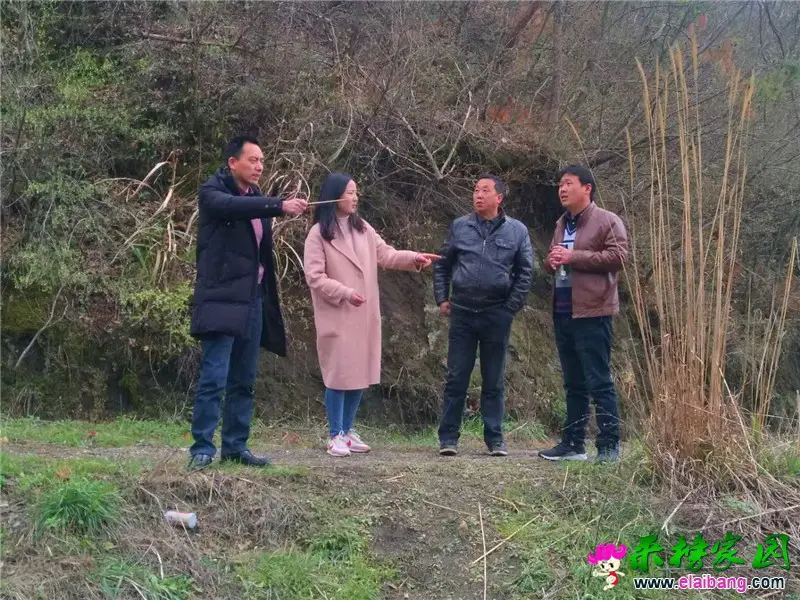 微信图片_20200401211041.webp