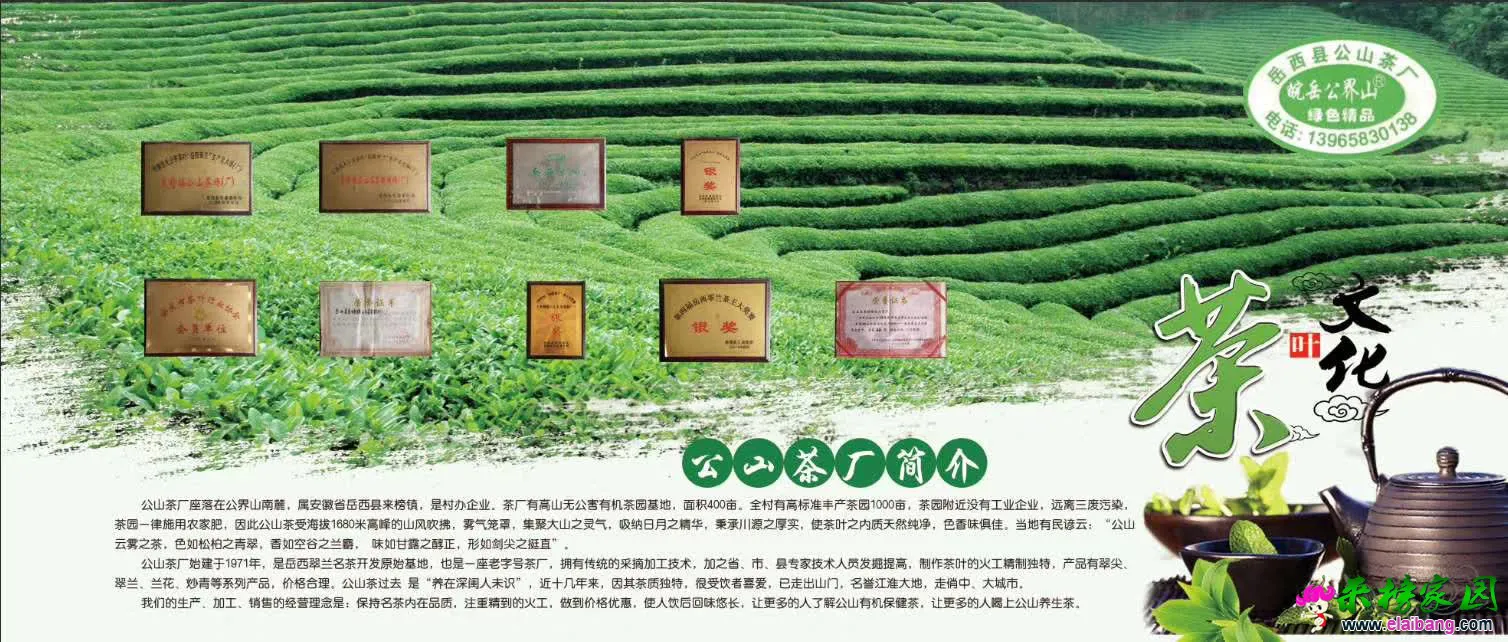 微信图片_20200402162243.webp