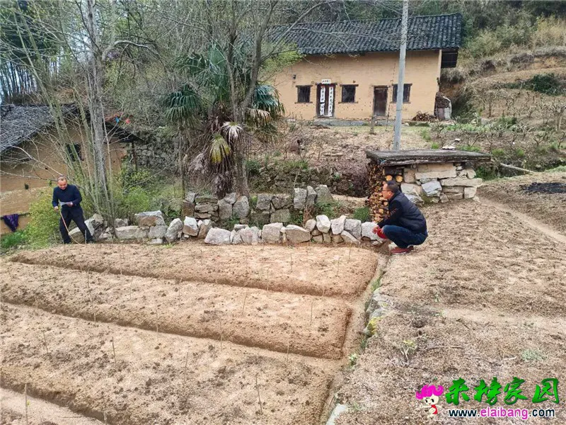 微信图片_20200402171843.webp