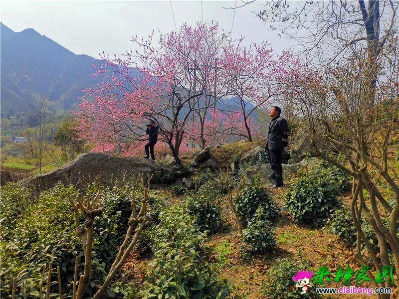 微信图片_20200403204354.webp