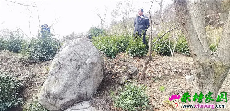 微信图片_20200403204356.webp