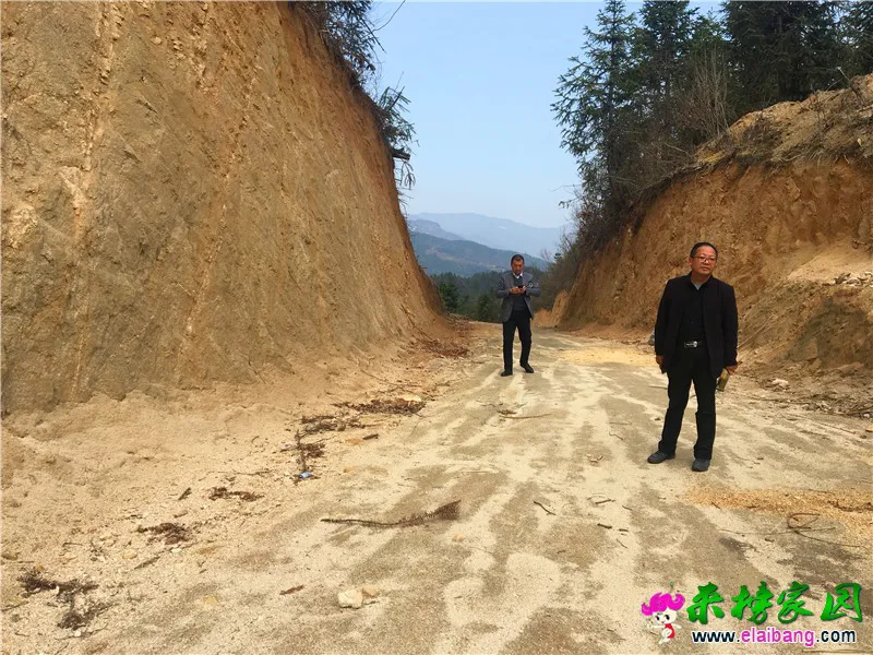 微信图片_20200403204411.webp