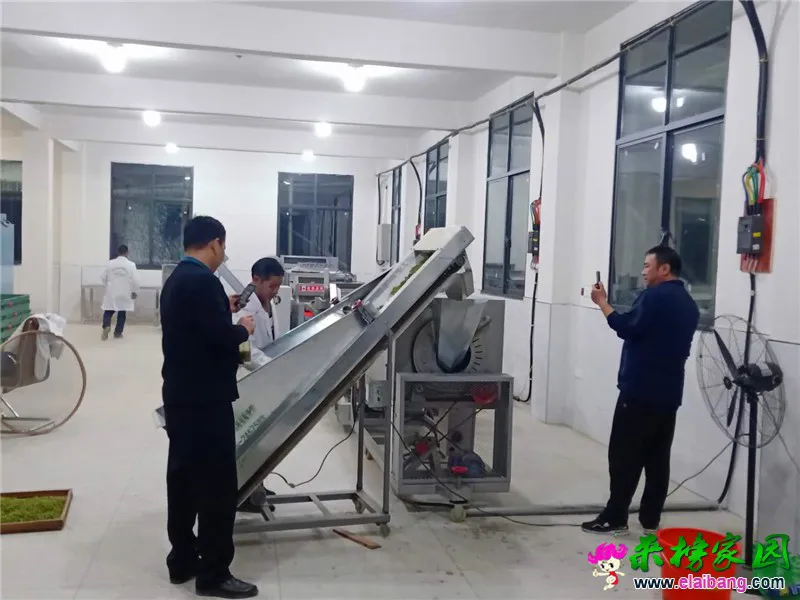 微信图片_20200405204208.webp