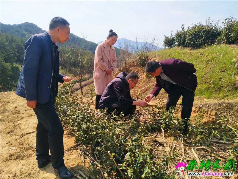 微信图片_20200407161252.webp