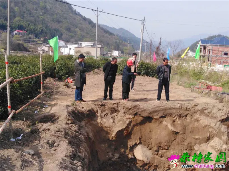 微信图片_20200407161138.webp