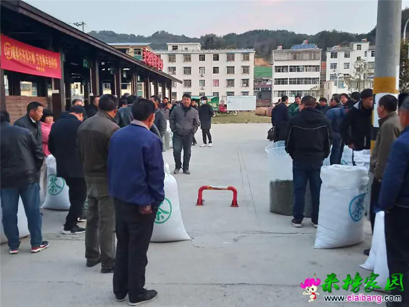 微信图片_20200408170848.webp