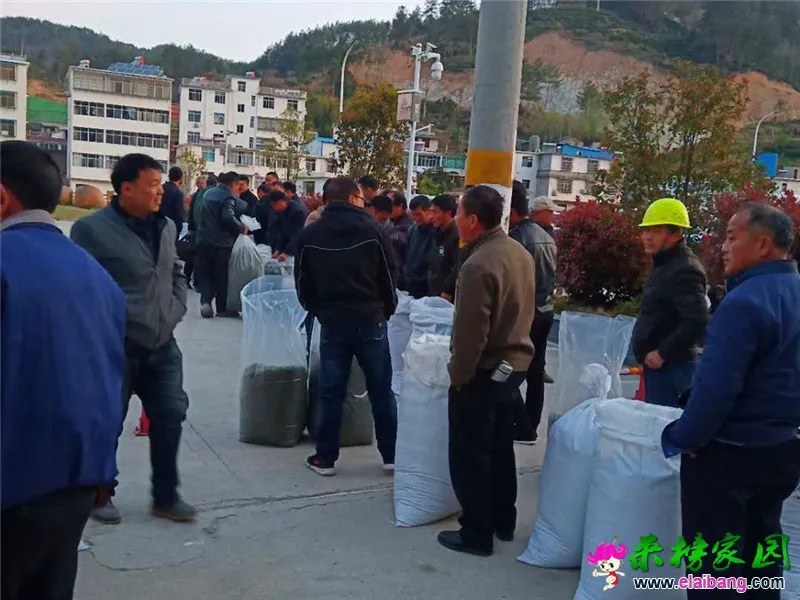 微信图片_20200408170839.webp