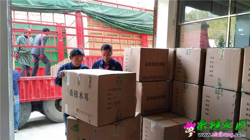 微信图片_20200408170910.webp