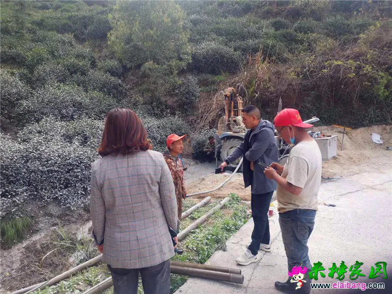 微信图片_20200408170924.webp