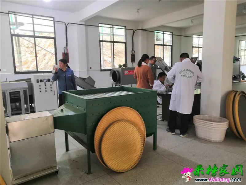 微信图片_20200408170919.webp