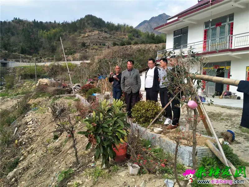 微信图片_20200409210046.webp