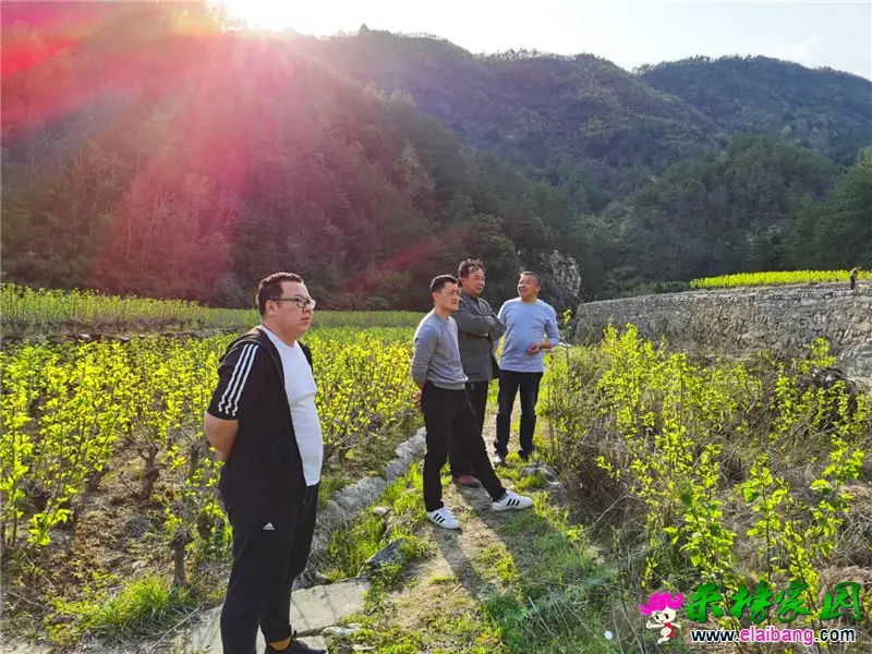 微信图片_20200409210048.webp