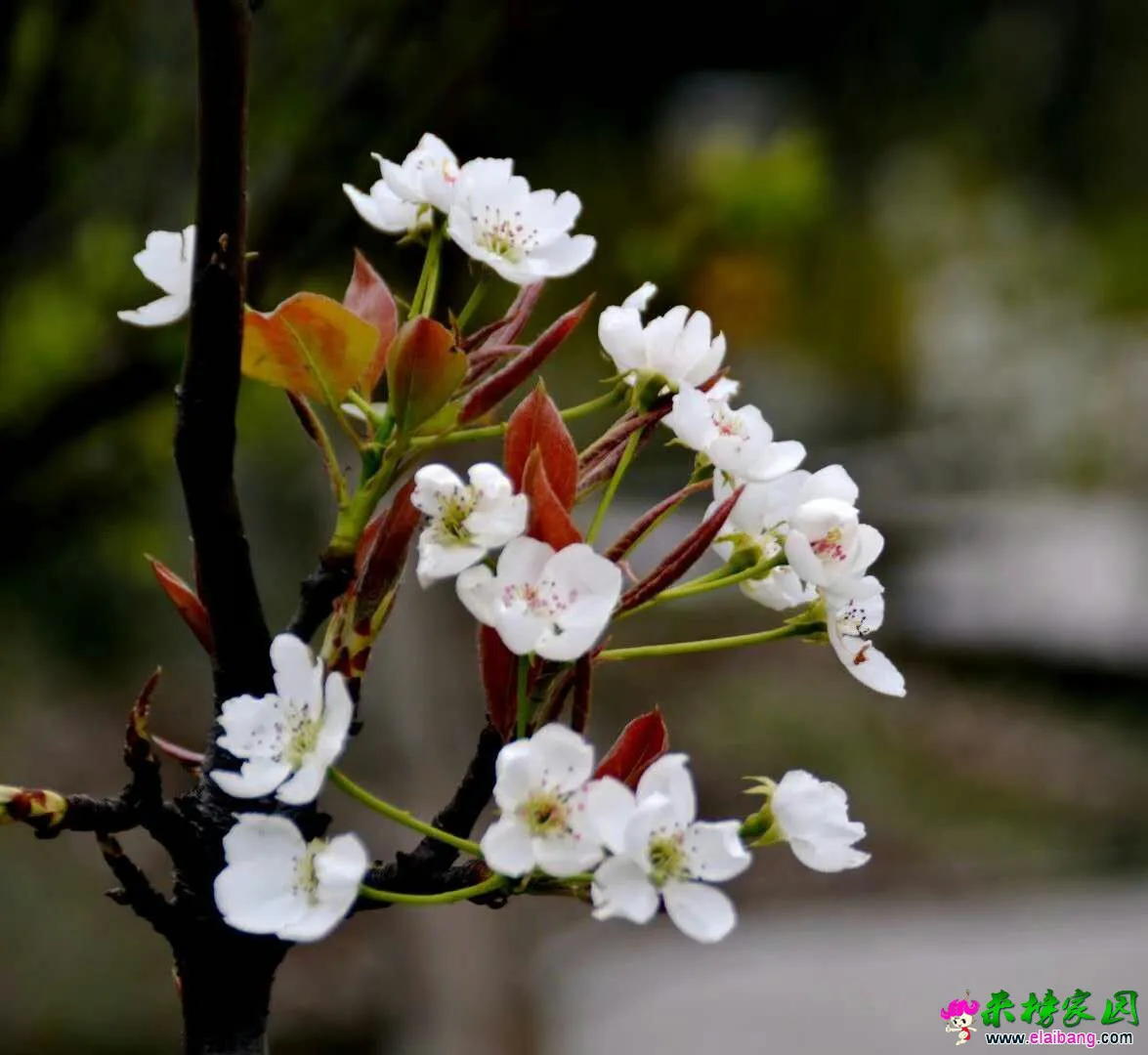 mmexport1586521191254.webp