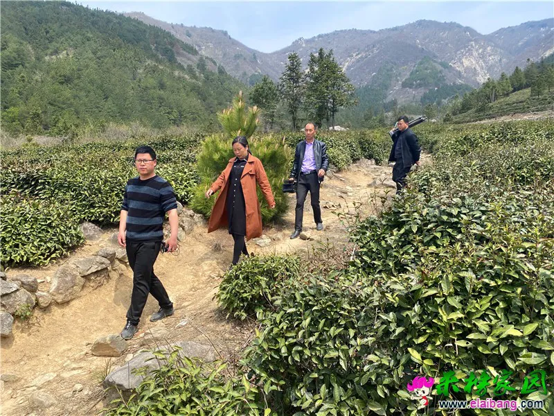 微信图片_20200410211244.webp