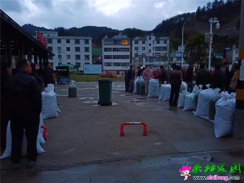 微信图片_20200411214820.webp