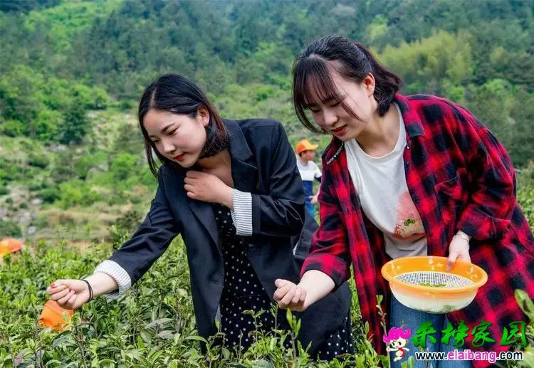 27a5661e469ceb54223ff06bf84a9390.webp