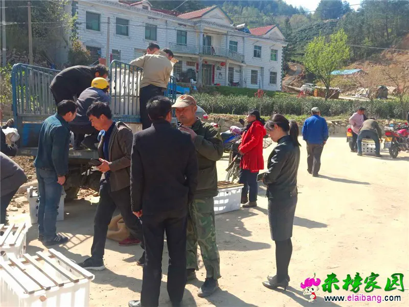 微信图片_20200413200735.webp