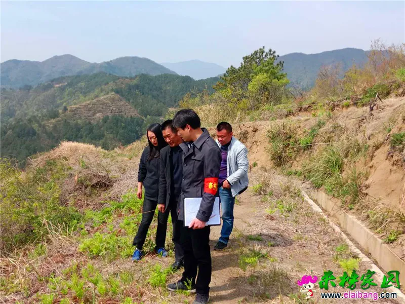 微信图片_20200414173006.webp