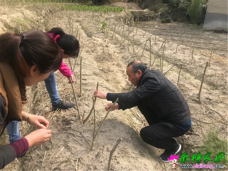 微信图片_20200414173035.webp