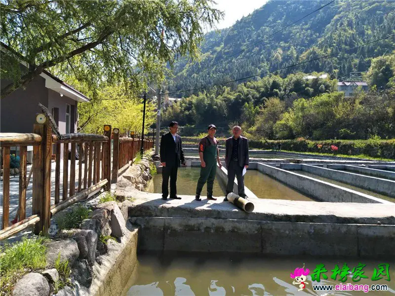 微信图片_20200415113035.webp