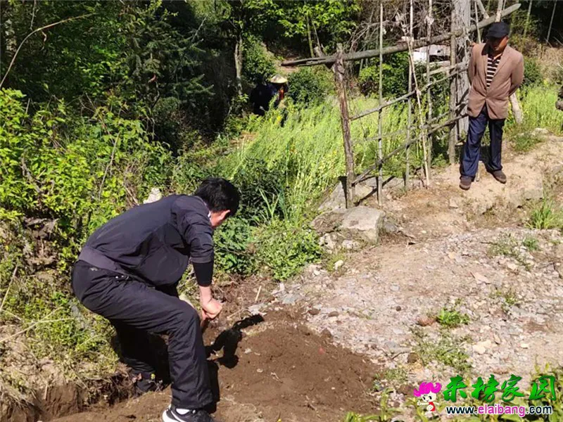 微信图片_20200415113042.webp