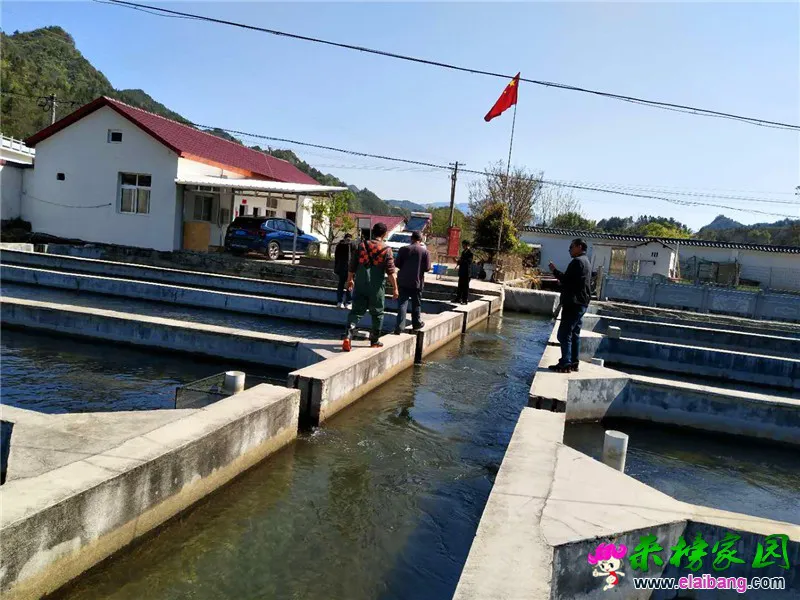 微信图片_20200415113038.webp