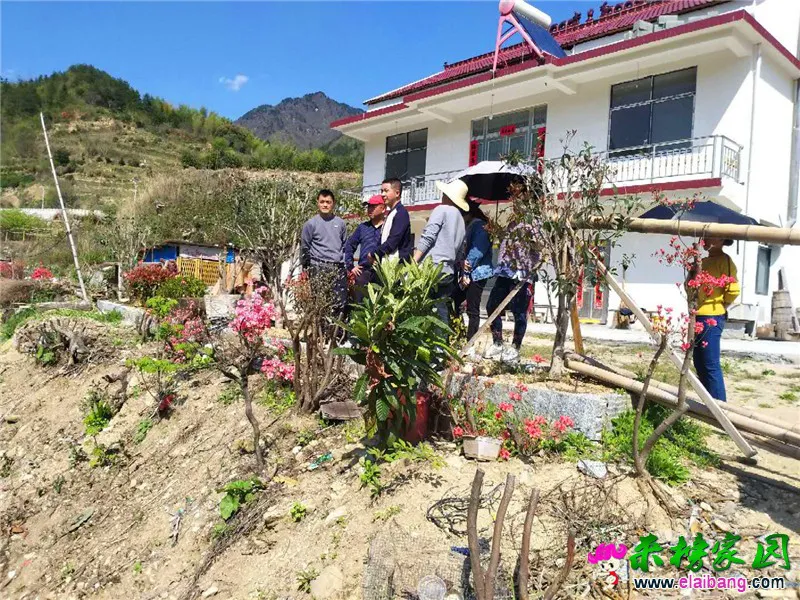 微信图片_20200415192609.webp