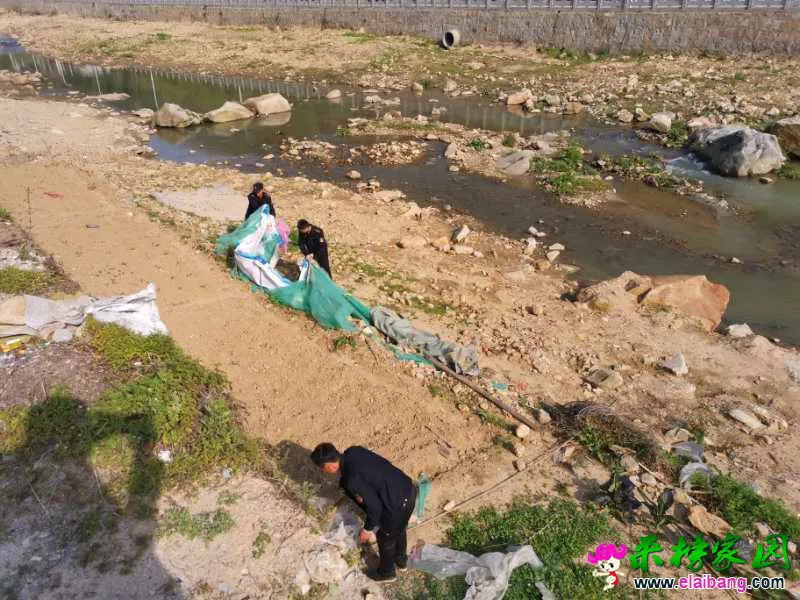 微信图片_20200415192623.webp