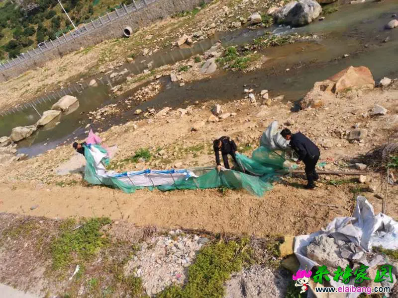 微信图片_20200415192619.webp