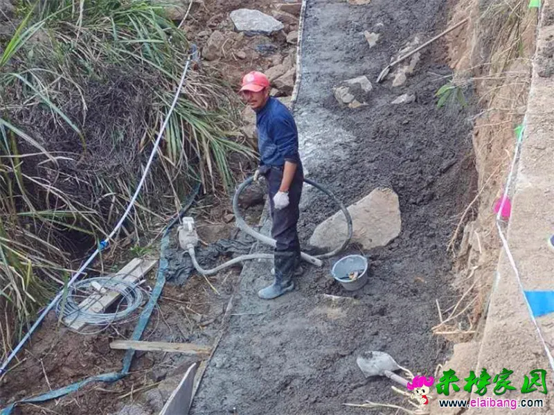微信图片_20200416160007.webp