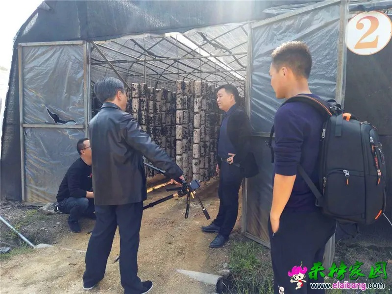 微信图片_20200416160025.webp