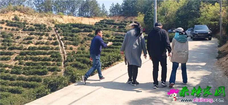 微信图片_20200416160033.webp