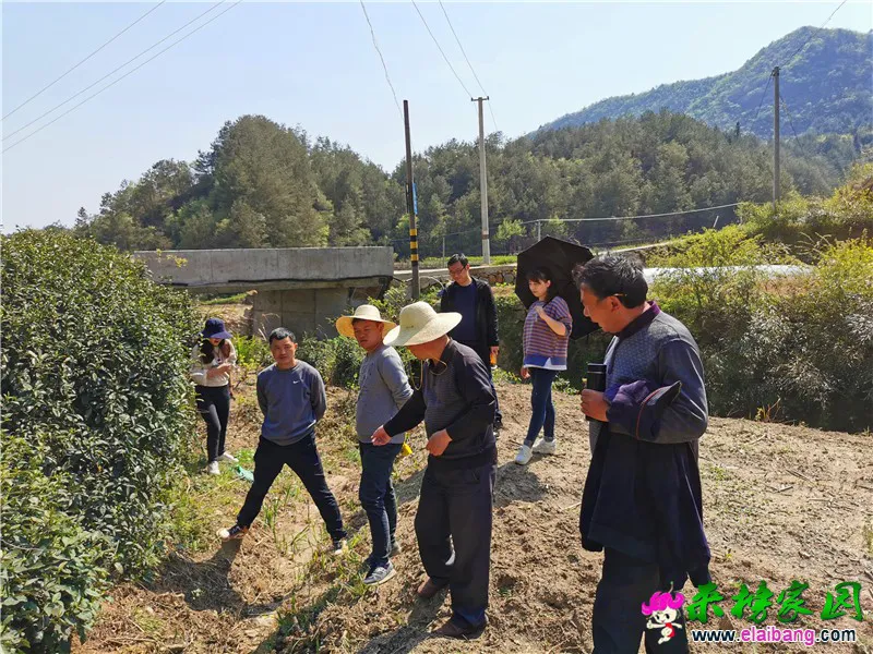 微信图片_20200416210132.webp