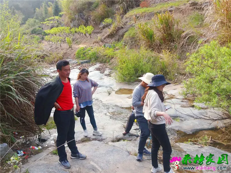 微信图片_20200416210136.webp