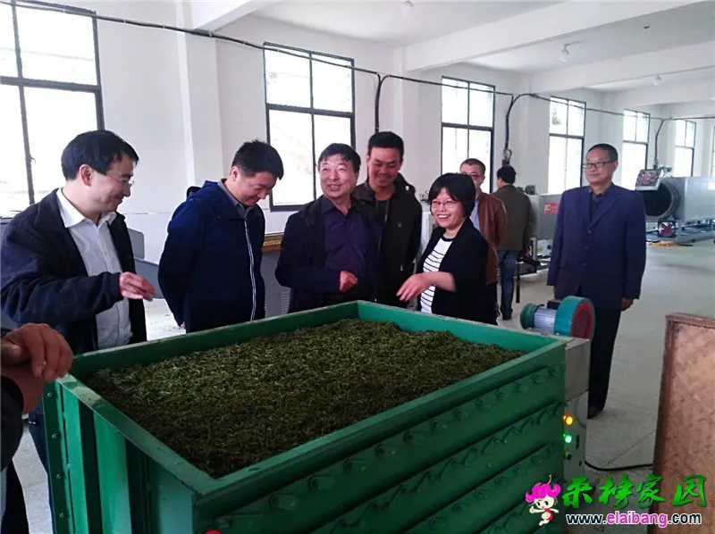 微信图片_20200417210655.webp