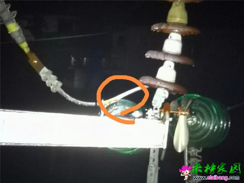 微信图片_20200418214813.webp