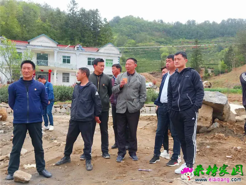 微信图片_20200420201820.webp