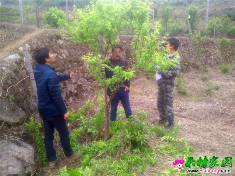 微信图片_20200421170133.webp