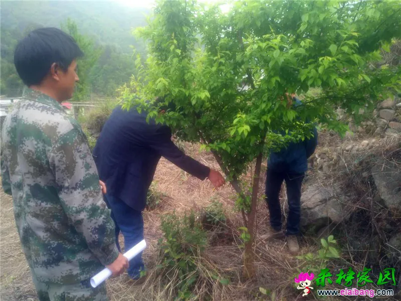 微信图片_20200421170131.webp