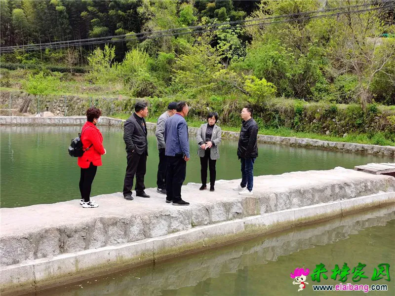 微信图片_20200422195822.webp