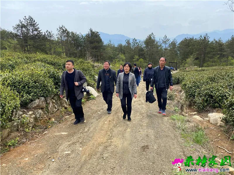 微信图片_20200422195924.webp
