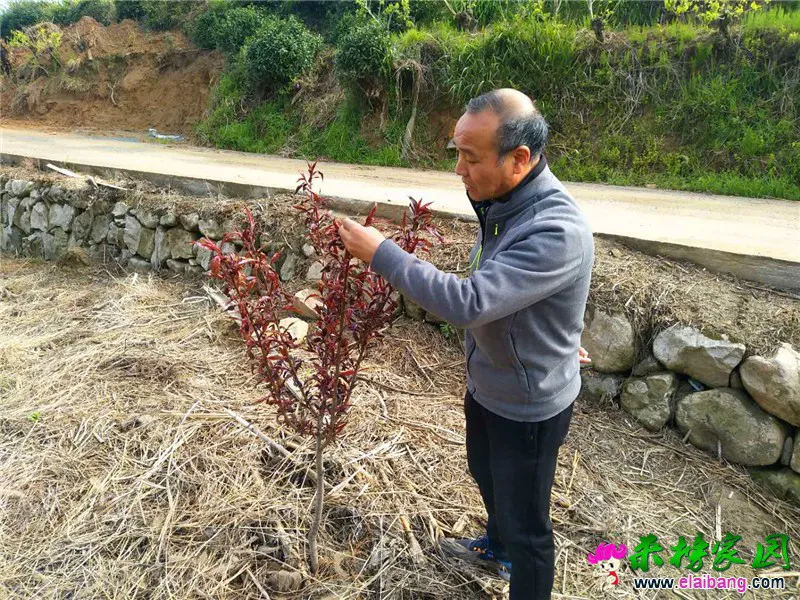 微信图片_20200422195941.webp