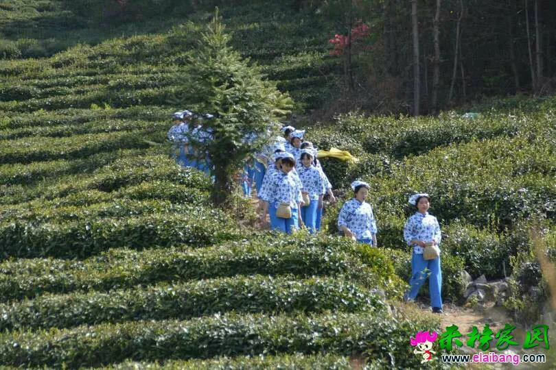 125522h7uxz505di61kr6e.webp