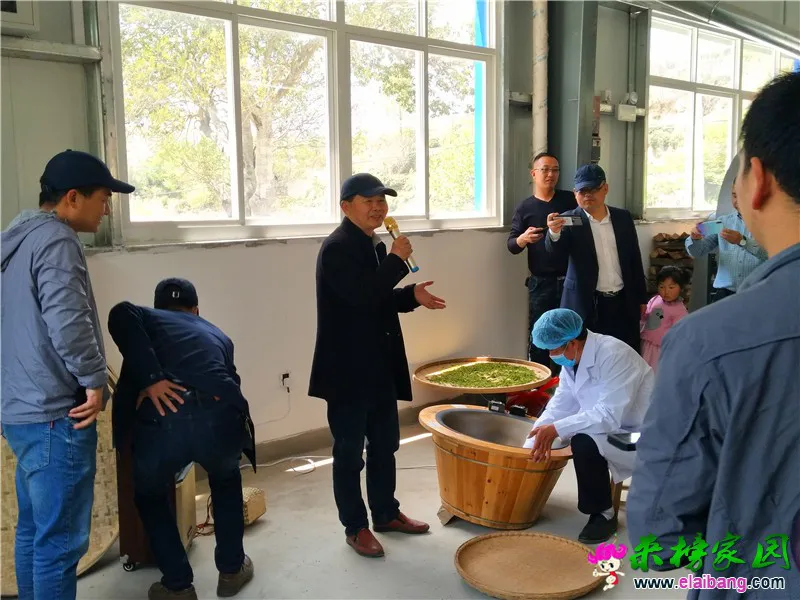 微信图片_20200426084935.webp