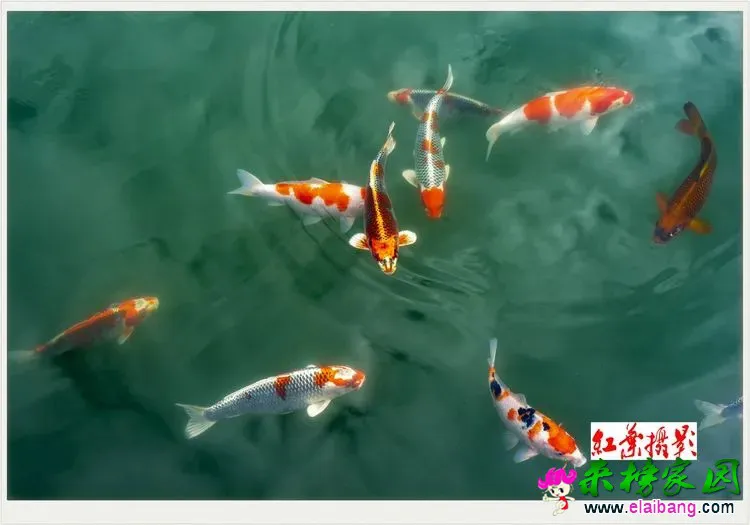 640.webp (5).webp