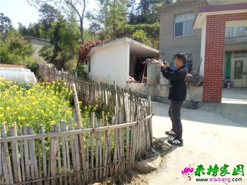 微信图片_20200427161418.webp