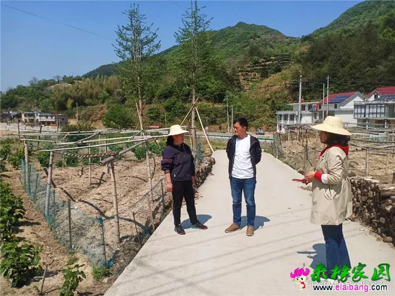 微信图片_20200427161422.webp