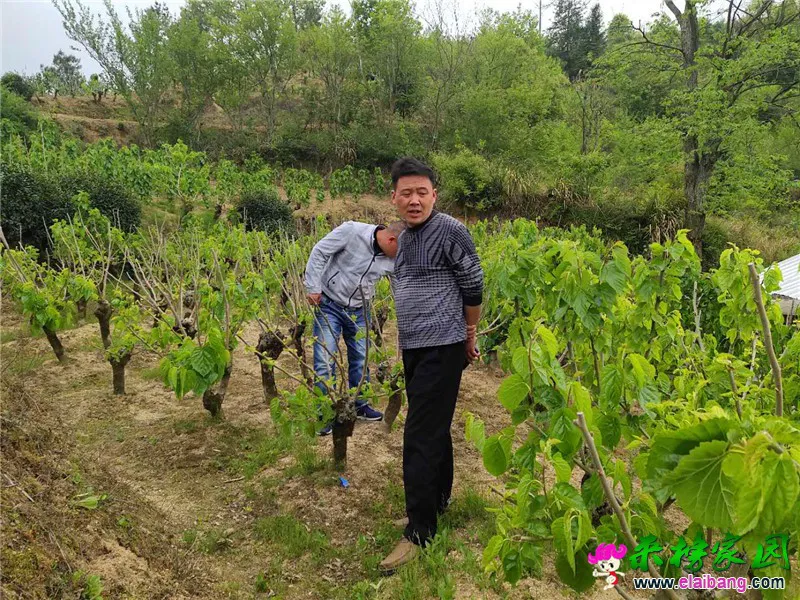 微信图片_20200427200142.webp