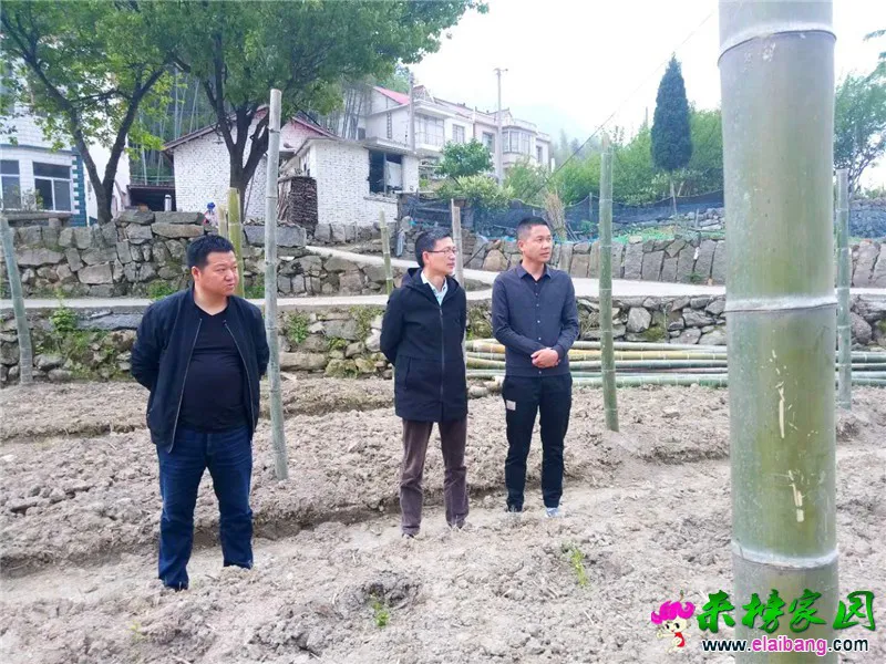 微信图片_20200427200145.webp