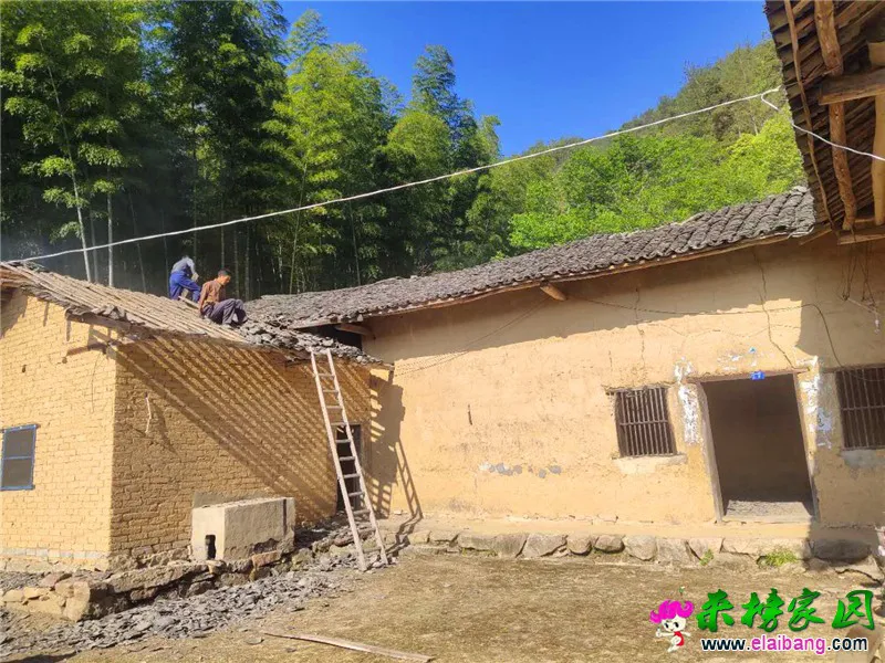 微信图片_20200428172103.webp